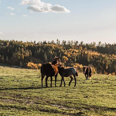 Alojamento de Turismo Rural Farma Klokocov