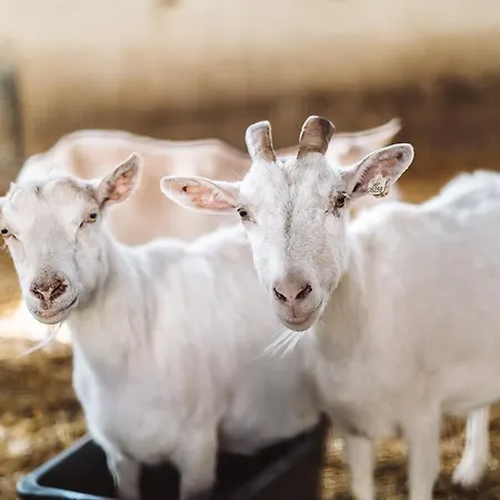 Farma Klokocov Vitkov