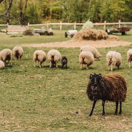 Alojamento de Turismo Rural Farma Klokocov *