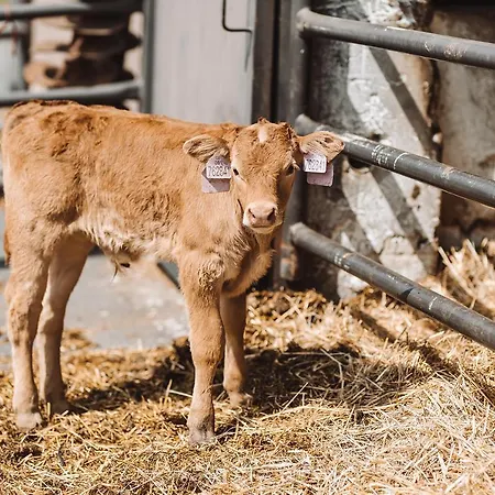 Farma Klokocov * Vitkov