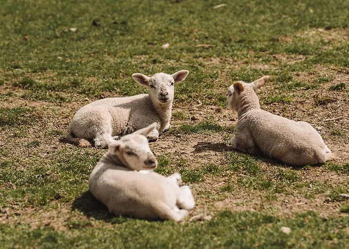 Séjour à la ferme Farma Klokocov *