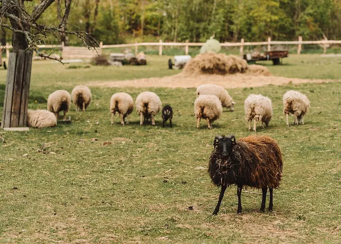 Séjour à la ferme Farma Klokocov *