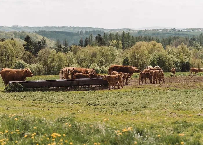 Farma Klokocov *