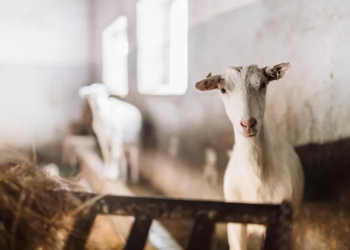 Farma Klokocov Séjour à la ferme *